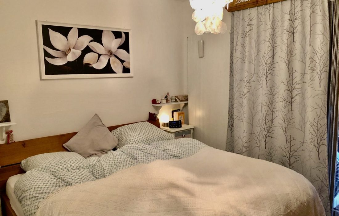 A_vendre_la_tzoumaz (22)