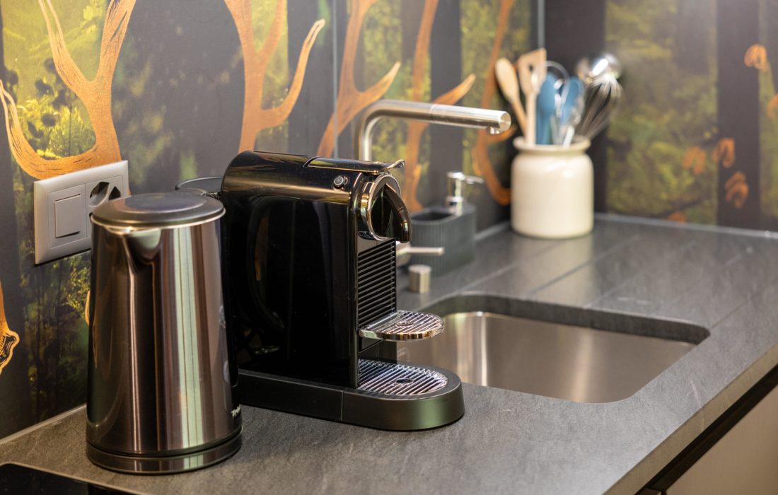 Le_Cerf_Alpine_Active_Lodge_Siviez (8)