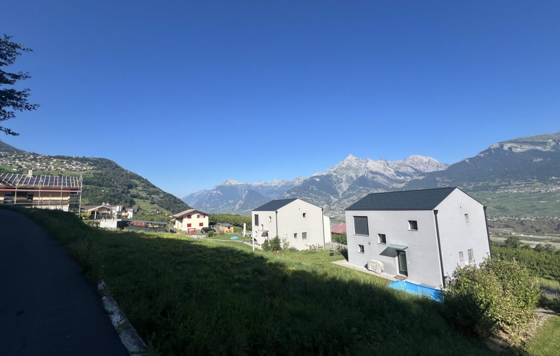 Vue des Alpes_LBF (1)