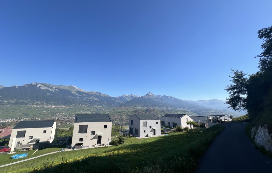 Vue_des_alpes_LBF (1)