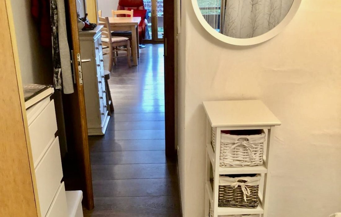 A_vendre_la_tzoumaz (15)