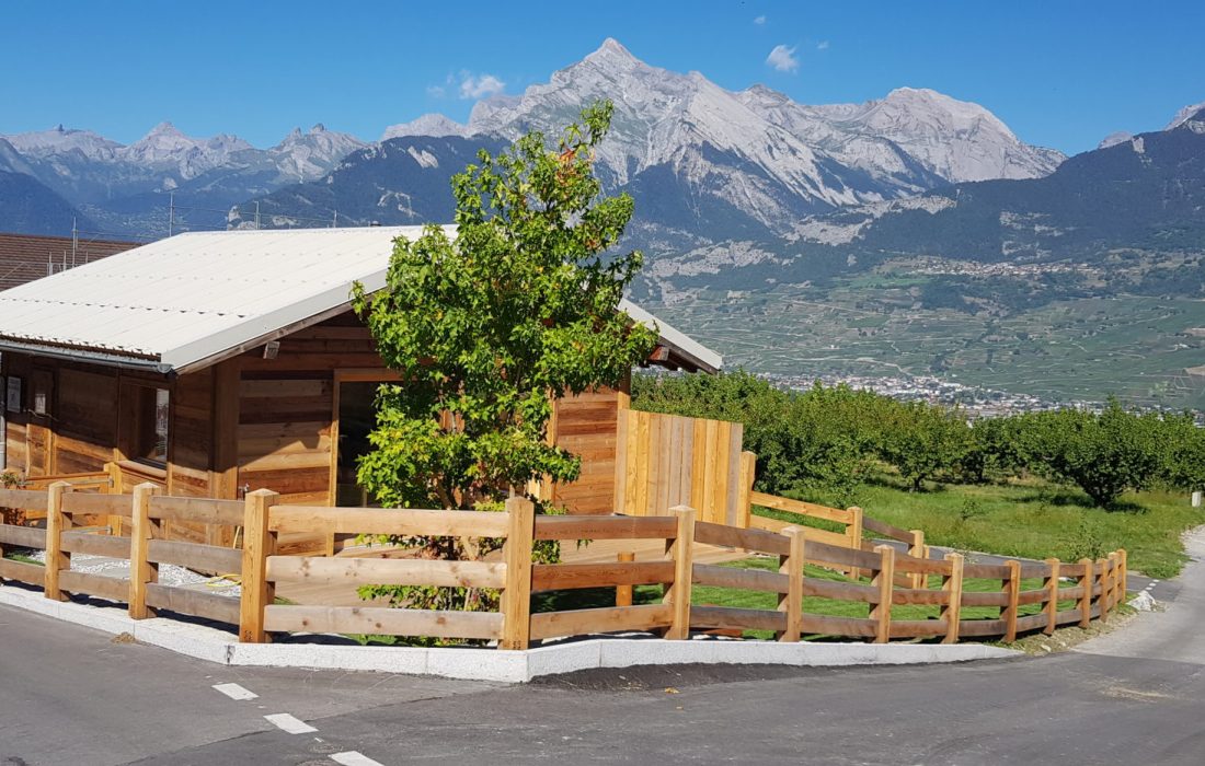 Couvert des Amis_LBF_Valais (17)